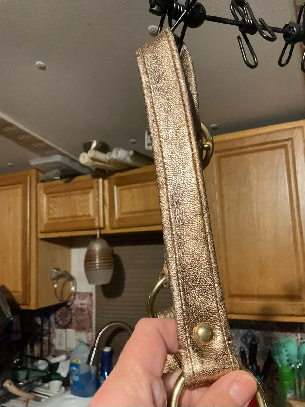 Coach Metallic Bronze Hobo Bag with COA